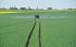 Self-propelled field sprayers Challenger RoGator 655