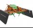 Feeding technology Silage spreaders Holaras Viking