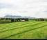 Silage trailers Pöttinger Jumbo 7380 DB