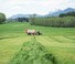 Silage trailers Pöttinger Jumbo 7380 DB