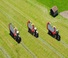 Silage trailers Pöttinger Jumbo 8400