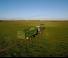 Silage trailers Hustler SF1500