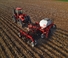 Sowing machines Case IH Precision Disk 550T 40