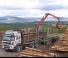 Timber loading cranes Epsilon Q 150 Z 79