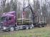 Timber loading cranes Epsilon Q 150 Z 96