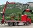 Timber loading cranes Cranab TZ 13.1 NHY 3+3