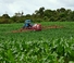 Trailed field sprayers Kuhn Ranger 3000