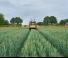 Trailed field sprayers Dubex Vector