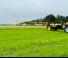 Trailed field sprayers Dubex Vector