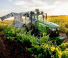Traktörler 4wd John Deere 5105EN