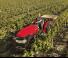 Traktörler 4wd Case IH Quantum 100 CL Rops