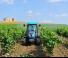 Traktörler 4wd Landini Rex 85F