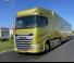 DAF XG+ 480 FTN