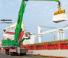Material Handlers Sennebogen 875M E Hybrid  
