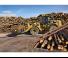 Wheel Loaders Caterpillar 950M