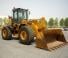 Case 821 E