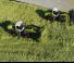 Yard loader Claas Torion 1913