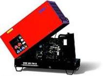 Diesel Power Generators Endress ESE 20 YW-AS