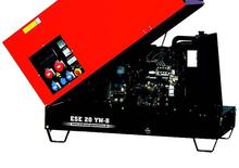 Diesel Power Generators Endress ESE 20 YW-B