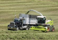 2WD Forage Harvesters Claas Jaguar 900