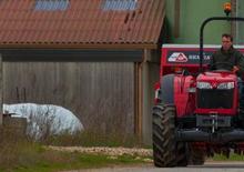 2WD Tractors Massey Ferguson MF 3650 A