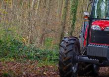 2WD Tractors Massey Ferguson MF 3650 A