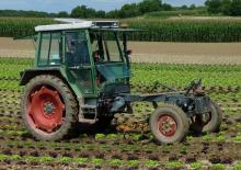 2WD Tractors Fendt F 360 GTF