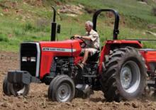 2WD Tractors Massey Ferguson MF 275 Xtra