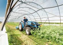 2WD Tractors New Holland T3.60F