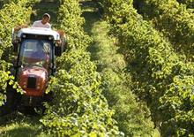 4WD Tractors SAME Frutteto³ V 90 GS DT
