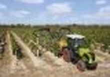 4WD Tractors Claas Nexos 210 F