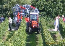 4WD Tractors Dexheimer 510 Si