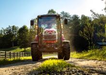 4WD Tractors Massey Ferguson MF 2855 M
