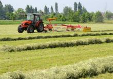 4WD Tractors SAME Natural Gold 50