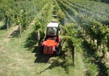 4WD Tractors Pierre P 796 V EVO