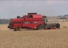 Biçer döver Case IH CT 5080