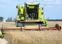 Biçer döver Claas Dominator 105