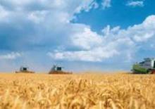 Biçer döver Claas Lexion 600