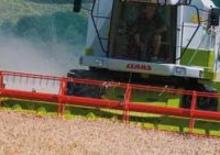 Biçer döver Claas Medion 310