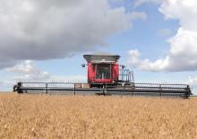 Biçer döver Massey Ferguson MF 9795