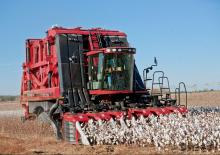 Biçer döver Case IH Module Express 635