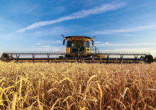 Biçerdöver kesici çubukları New Holland 880CF SuperFlex Draper