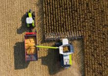 Biçerdöver mısır toplayıcıları Claas 16-30c