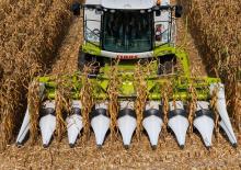 Biçerdöver mısır toplayıcıları Claas Corio 670 FC