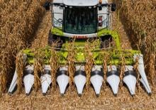 Biçerdöver mısır toplayıcıları Claas Corio 670 FC