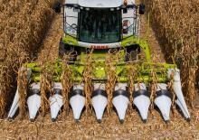 Biçerdöver mısır toplayıcıları Claas Corio 690