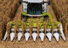 Biçerdöver mısır toplayıcıları Claas Corio 870 C