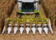 Biçerdöver mısır toplayıcıları Claas Corio 870 FC