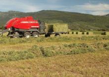 Büyük kare balyalayıcı + yüksek yoğunluklu balya makineleri Massey Ferguson MF 2190 SP