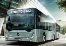 City buses Mercedes-Benz Conecto G NGT